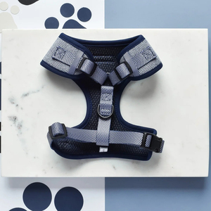 ओएम एडजस्टेबल पालतू कुत्ते कॉलर और लीश हार्नेस सेट टेवीड कस्टम व्यक्तिगत कुत्ते पट्टे के साथ उपयोग - Product Image 4