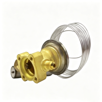 Vanne de dilatation thermique TE 5 067B3277 067B3250 067B3298 R22 R407C R134a de -40 à 10 degrés pour pièces de réfrigération