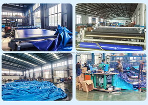 Personalizado Rectangular <span class=keywords><strong>piscinas</strong></span> natación al aire libre gran estructura metálica de acero sobre el suelo suministro de <span class=keywords><strong>piscinas</strong></span> empresas Accesorios - Product Image 5