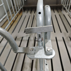 Cage <span class=keywords><strong>de</strong></span> maternité polyvalente <span class=keywords><strong>de</strong></span> haute qualité pour porcelets, <span class=keywords><strong>lit</strong></span> d'accouchement pour porcelets, système d'alimentation automatique pour équipement agricole - Product Image 3