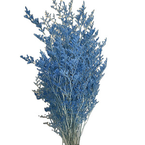 Fleur séchée en gros Statice Caspia, Herbe Brumeuse, Limonium Préservé, Lavande de Mer, Fleur séchée de Limonium pour Événements et Décoration de Mariage - Product Image 1