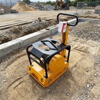 Compacteur de plaques électrique HT~200E à prix abordable, force de compactage de 18KN, machine de compactage de sol robuste pour la réparation routière