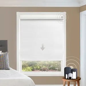 酒店项目智能控制自动阿列克谢电动百叶窗电动遮光百叶窗卷帘
