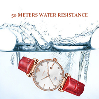 Montre à quartz de luxe pour femme, collection Jane Eyre, boîtier en acier inoxydable, verre saphir, aiguilles, bracelet en cuir véritable, vente en gros