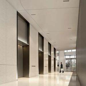 Ascensor Residencial en Oferta, Elevador de Pasajeros Moderno, Seguro y Fácil de Operar para el Hogar - Product Image 5