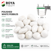 Galets de rivière blancs polis de qualité supérieure, pierres décoratives pour aquarium, jardin, aménagement paysager, pots de fleurs