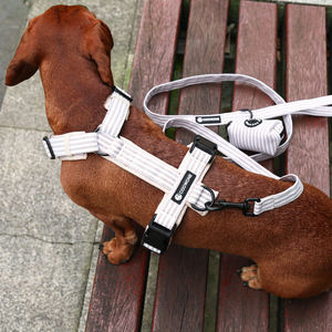 <span class=keywords><strong>Harnais</strong></span> pour <span class=keywords><strong>chien</strong></span> personnalisé ensemble de colliers en laisse logo en forme de Y doux rembourré réfléchissant réglable course à pied <span class=keywords><strong>harnais</strong></span> pour animaux de compagnie personnalisé - Product Image 2