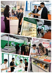 אבקת תמצית אלוורה אלו-אמודין 95% אלו אמודין CAS 481-72-1 - Product Image 5