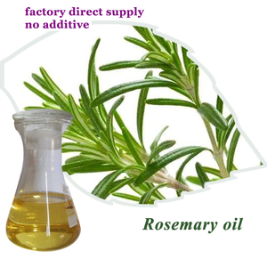 Vente en gros en usine Échantillon gratuit en vrac Huile essentielle de romarin Huile de romarin naturelle non diluée biologique de marque privée <span class=keywords><strong>pour</strong></span> le soin des <span class=keywords><strong>cheveux</strong></span> - Product Image 3