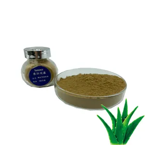 Wholesale Bulk 20% aloin Extract Aloe Vera Freeze Dried Powder