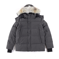 Veste parka en duvet d'oie pour homme, style classique, avec logo personnalisé, imperméable, grande taille, pour l'hiver, vente en gros