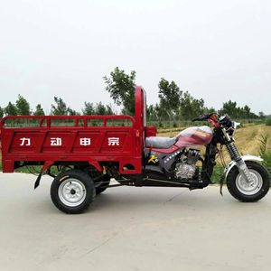 Поставка из Китая, оптовая продажа, <span class=keywords><strong>3</strong></span> колеса, 200cc 250cc, грузовой трехколесный велосипед, моторный сельскохозяйственный бензиновый мотоцикл - Product Image 4