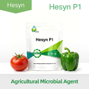 พรีเมี่ยม5 <span class=keywords><strong>B</strong></span> cfu/g ปุ๋ยชีวภาพผสม synergistic purpureocillium lilacinum penicum bilaiae Bacillus <span class=keywords><strong>subtilis</strong></span> hesyn - Product Image 1