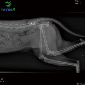 Ysenmed hızlı teslimat dijital veteriner x-ray ekipman fiyatları DR veteriner x-ray - Product Image 6