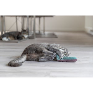 Cojín enrollable de 26 x 4 cm en varios colores para mascotas, juguete de peluche suave - Product Image 4