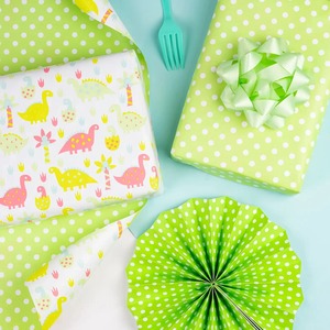 Custom Dinosaurs Polka Dots <b>Pattern</b> Recyclable <b>Paper</b> Roll 100GSM Double Side Coated PE Digital Printing Compatible <b>Paper</b> - Product Image 5