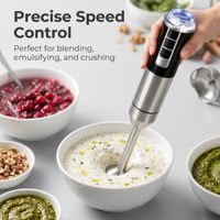 Kit Mixeur Plongeant Électrique Multifonction 1600W en Acier Inoxydable pour Usage Domestique et Hôtelier, Vente en Gros OEM, Certifié CE
