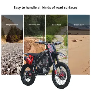 Motocicleta de Alta Velocidad Bosuer BSE/J1/NB300, Motocicleta Completa para Montaña, Carreras en Carreteras Forestales, Motor ZS174MN-5, 120 km/h - Product Image 3