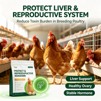 Enzyme dégradant les mycotoxines pour l'élevage de volailles, protège le foie et le système reproducteur, additifs alimentaires pour poulets reproducteurs