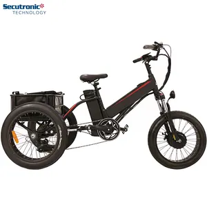 bafang vélo cargo Suppliers-Vélo électrique facilement Cargo pour la livraison de Pizza, bicyclette électrique à moteur Bafang, transport de Fat Bike, pour les personnes âgées