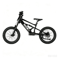 Bicicleta Eléctrica Infantil de 20 Pulgadas, 48V, 6.0AH, 1000W, Diseño sin Escobillas, Sensor Inteligente, Aleación de Aluminio y Litio, para Exteriores