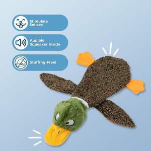 En iyi 2-in-1 gıcırtılı köpek çiğneme oyuncakları yumuşak dayanıklı kumaş için küçük orta büyük evcil Stuffless kapalı playaktif ısırma 1 vahşi ördek - Product Image 2