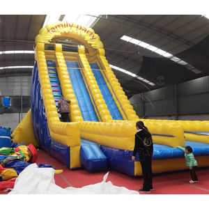 Tobogán Inflable Doble de Grado Comercial, Emocionante, para Piscina o Jardín, para Adultos y Niños, Alquiler para Fiestas de Verano - Product Image 2