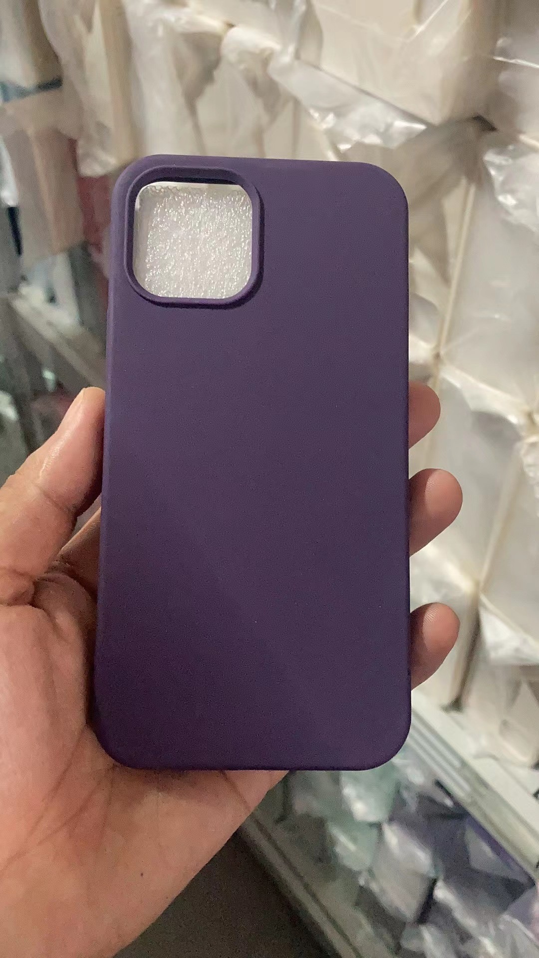 Viola