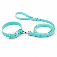 Ensemble collier et laisse pour chien en PVC de qualité supérieure, imperméable, durable, réglable, pour la promenade des chiens, OEM personnalisé