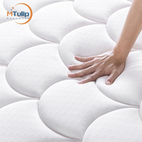 Vente en gros de lits jumeaux modernes Eupo top matelas magasins près de chez moi matelas en mousse à mémoire de forme à ressorts ensachés