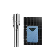 Système de pompe à eau solaire 1HP 750W avec moteur 100% cuivre pour l'irrigation et l'élevage de poissons