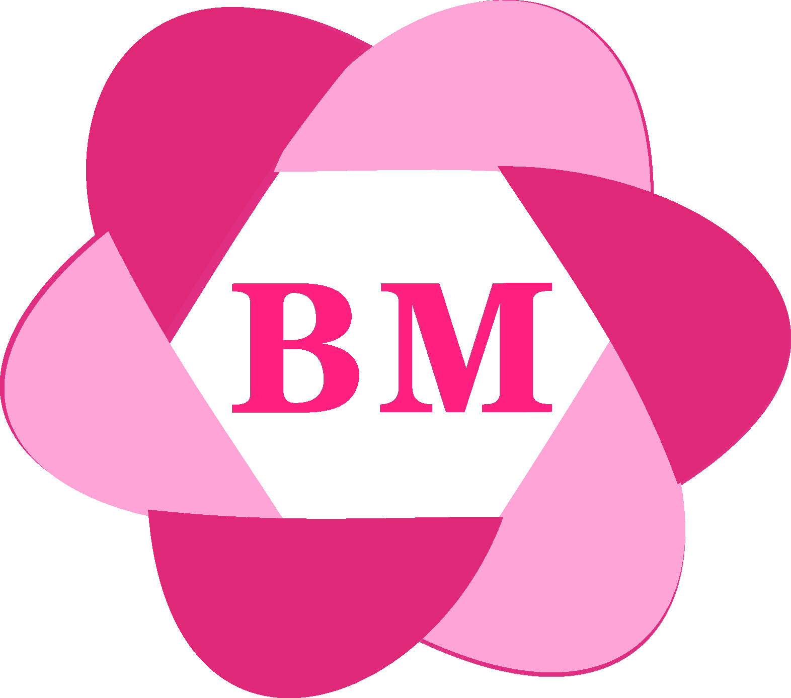 Foshan Biaomei Fashion Co., Ltd. logo