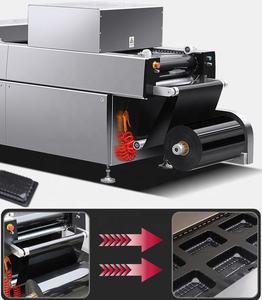 เครื่องบรรจุเนื้อวัวอัตโนมัติ, เครื่องจักรสำหรับบรรจุเนื้อสัตว์และชีส, เครื่องบรรจุภัณฑ์แบบเทอร์โมฟอร์มสำหรับอาหาร เนื้อสัตว์ และสัตว์ปี<span class=keywords><strong>ก</strong></span> ระบบ MAP - Product Image 5