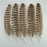 10 pièces/sac plumes d'aigle naturelles pour artisanat Plume coiffure accessoires vacances décoration carnaval plume bricolage artisanat décor