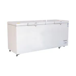 Supermarkt Kommerzielle Doppeltür Horizontal Deep Chest Freezer