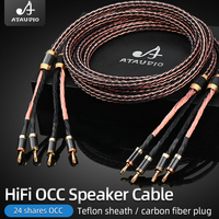 Câble audio HiFi haut de gamme en fibre de carbone avec fiches banane et Y, câble principal tressé HIFI 24 brins en fil OCC pour haut-parleur et microphone