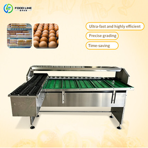 Meilleure machine automatique d'emballage de douzaines d'œufs de poule avec emballageur et trieuse - Product Image 1