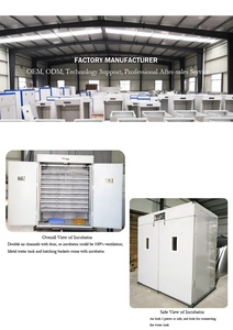 Máy Ấp Trứng Gà Chạy Bằng Năng Lượng Mặt Trời Với Tấm Năng Lượng Mặt Trời Máy Ấp Trứng Ở <span class=keywords><strong>Ethiopia</strong></span> - Product Image 6