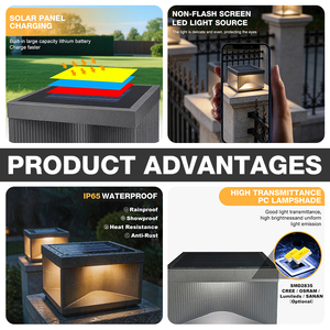 Lámpara LED Cuadrada para Exteriores de Alta Calidad, IP65 Impermeable, AC 1W, Cuerpo de Acero Inoxidable, <span class=keywords><strong>Solar</strong></span>, para Jardín, Garantía de 5 Años - Product Image 2