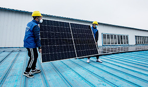 <b>200W</b> Monocrystalline Silicon <b>Solar</b> <b>Solar</b> Photovoltaic Module 36V <b>Solar</b> <b>Solar</b> Power - Product Image 4