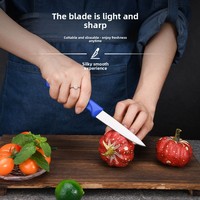5Cr15 roestvrijstalen fruitmes van 3,5 inch met PP-handvat, schilmes in rood/blauw/zwart, multifunctioneel mes voor babyvoeding