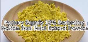 Organik Emas Segel akar Ekstrak bubuk 10% Berberin - Product Image 2