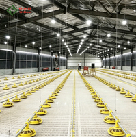 Système d'élevage plat automatique pour volailles à faible coût et haute productivité
