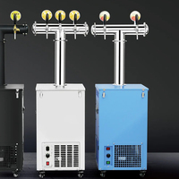 Distributeur automatique de boissons alcoolisées, machine à bière pression, distributeur de bière artisanale