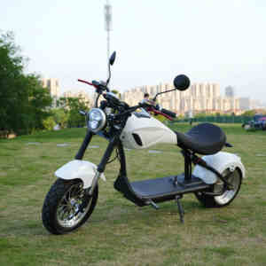 Citycoco 2025 Model baru uniseks EEC COC CE skuter listrik bersertifikasi 2 roda sepeda motor Off-Road Harga Murah gudang UE & AS - Product Image 1