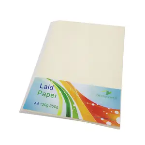 10pcs A4 100gsm Conqueror paper Laid Paper for printing for Office Printing