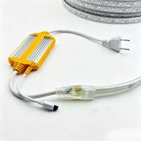 Télécommande RGB pour bandes LED intelligentes 5050 AC110V 220V IP65 10W 60 LED 14mm de largeur SMD5050 RGB Rouleau de 100m Bandes LED RGB