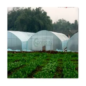 Serra a tunnel automatizzata per serra solare passiva cinese per pomodori