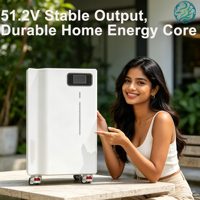 Batería de Iones de Litio Lifepo4 de 51.2V 300AH, Batería Solar Híbrida de 51.2V, Montaje en Pared, Almacenamiento de Energía Doméstica, Ciclo Profundo Lifepo4, BMS