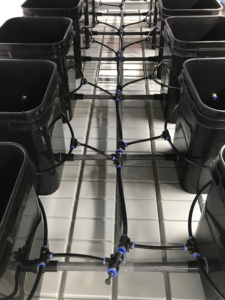 Double rack growing grow table <strong>racking</strong> growing racks growing racks for <strong>greenhouse</strong> - Product Image 3